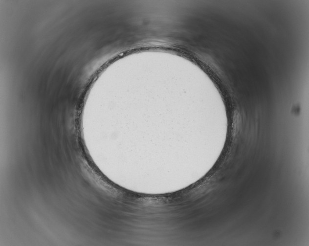 X0000114411404200911271515