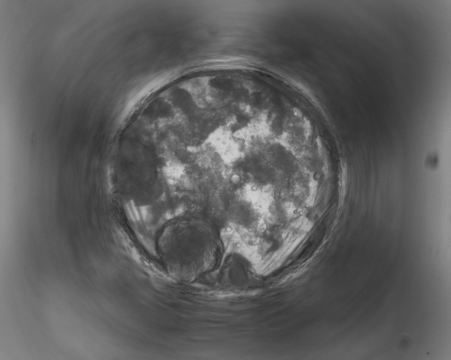 X0000114411405200911271515