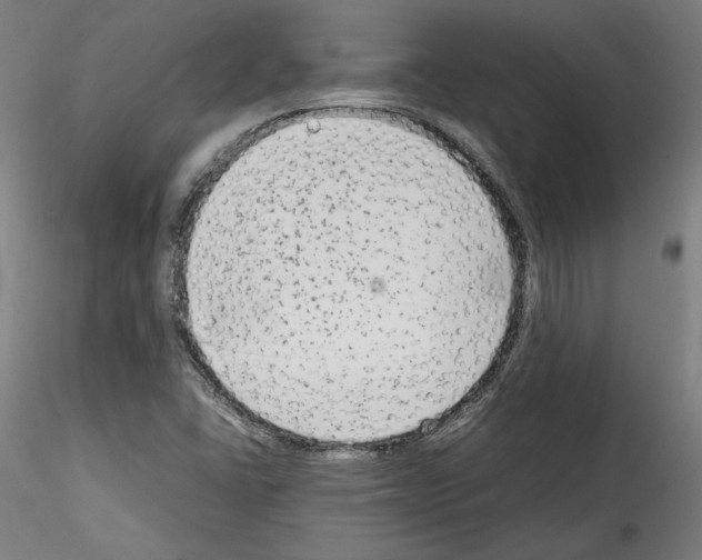 X0000114411406200911271515