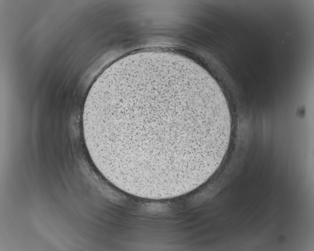 X0000114411409200911271515