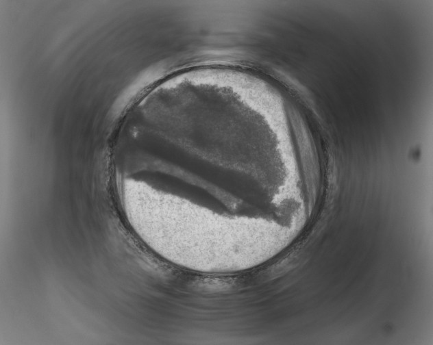 X0000114411411200911271515