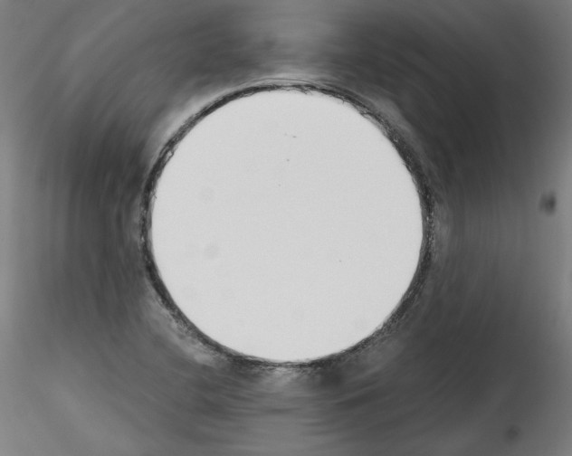 X0000114411412200911271515