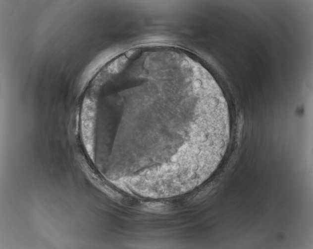 X0000114411413200911271515