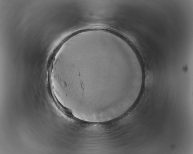 X0000114411414200911271515