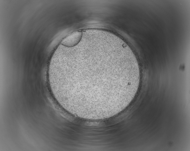 X0000114411415200911271515