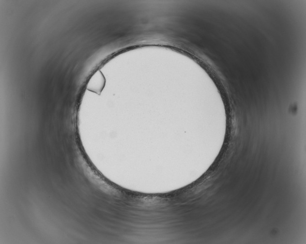 X0000114411416200911271515