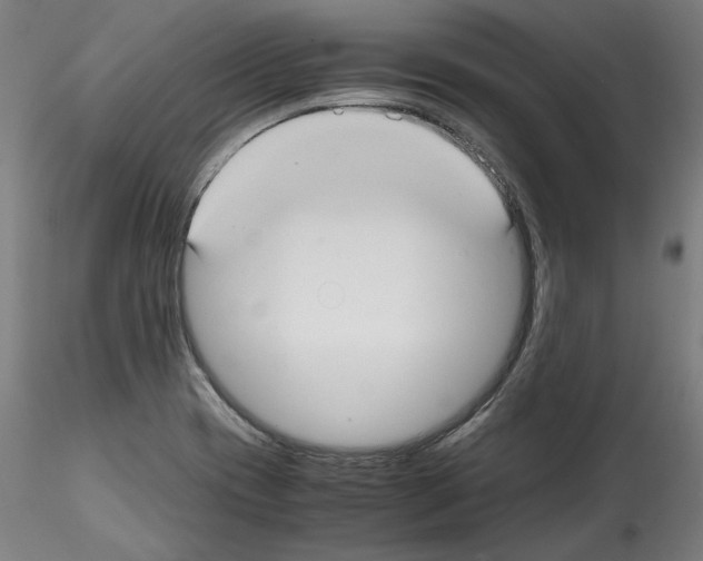 X0000114411417200911271515