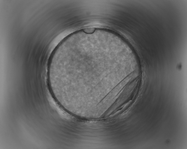 X0000114411418200911271515