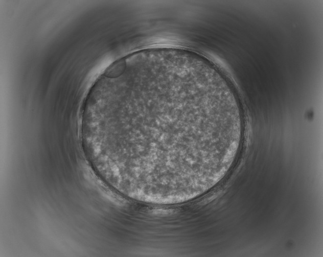 X0000114411419200911271515