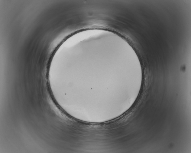 X0000114411422200911271515