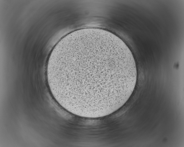 X0000114411423200911271515