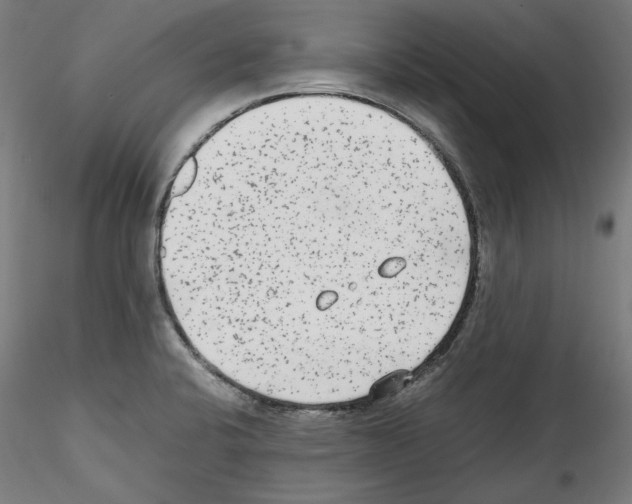 X0000114411424200911271515