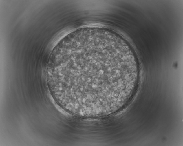 X0000114411425200911271515