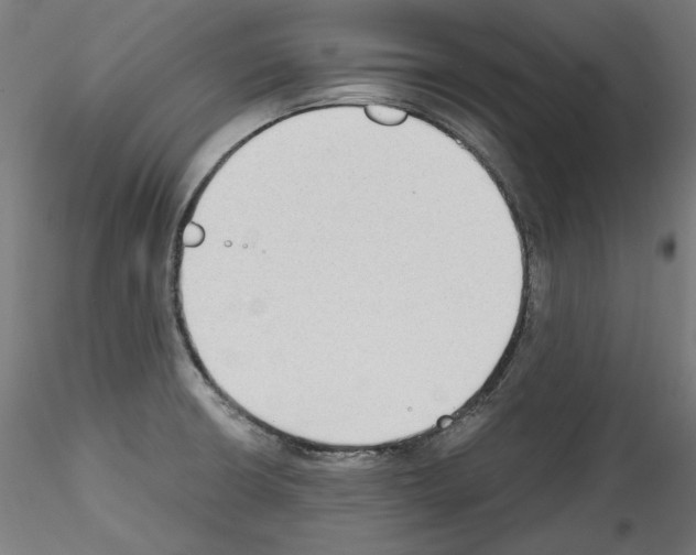 X0000114411426200911271516