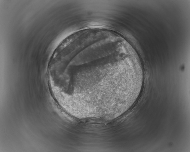 X0000114411427200911271516