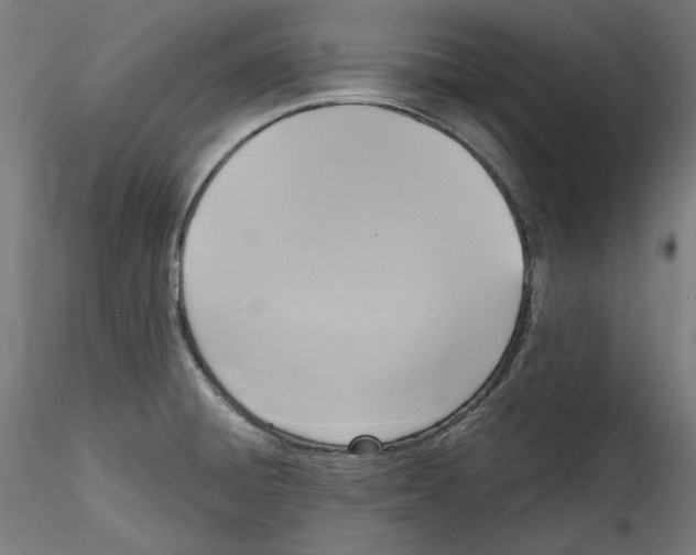 X0000114411428200911271516