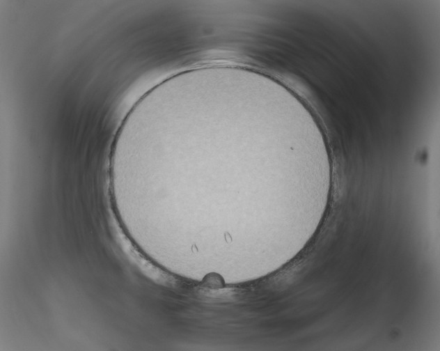 X0000114411431200911271516