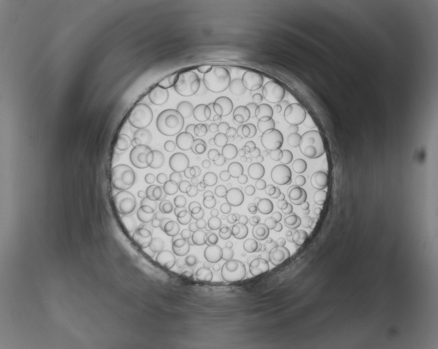 X0000114411432200911271516