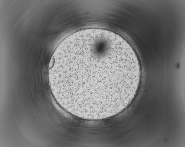 X0000114411433200911271516