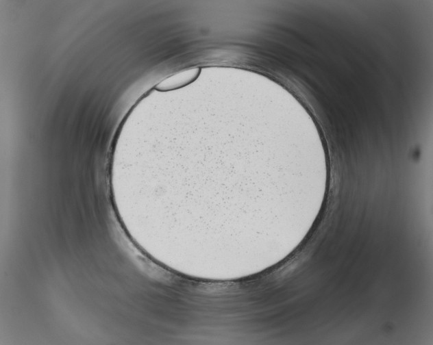 X0000114411434200911271516