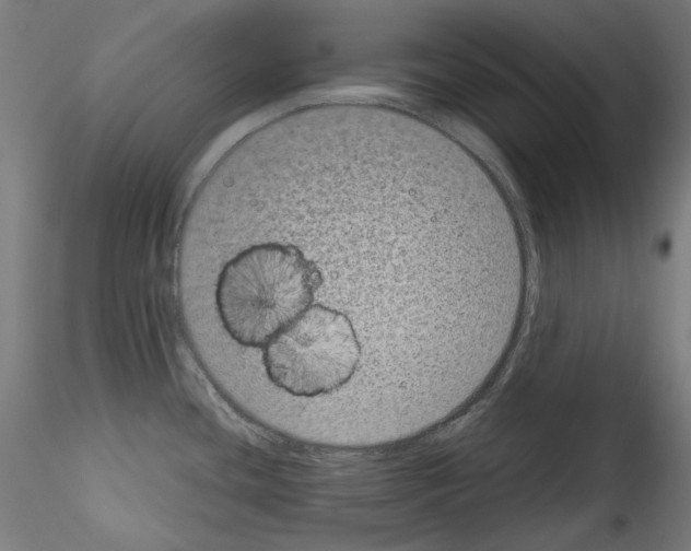 X0000114411436200911271516