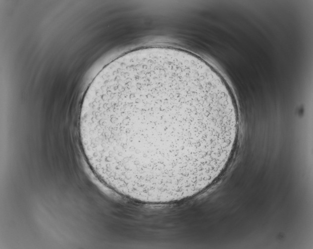 X0000114411437200911271516