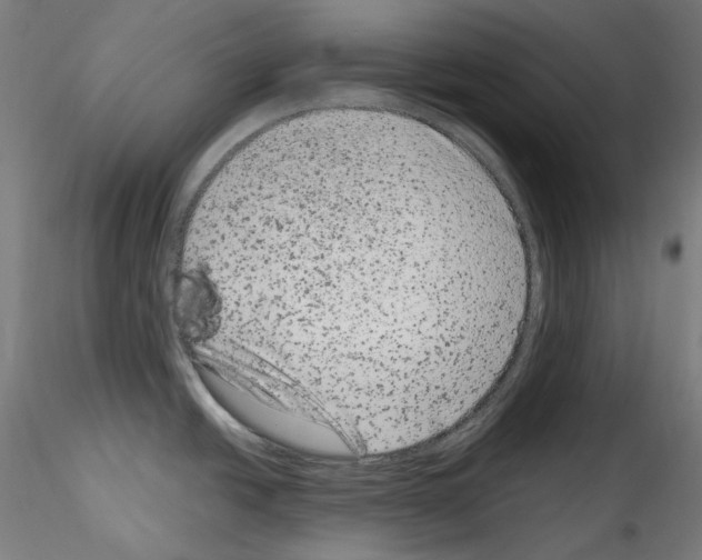 X0000114411438200911271516