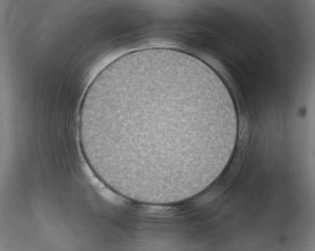 X0000114411439200911271516