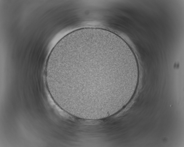 X0000114411440200911271516