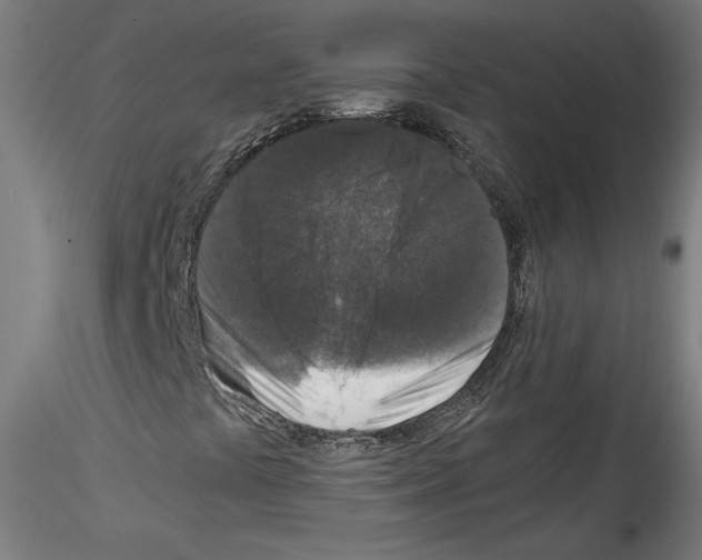 X0000114411441200911271515