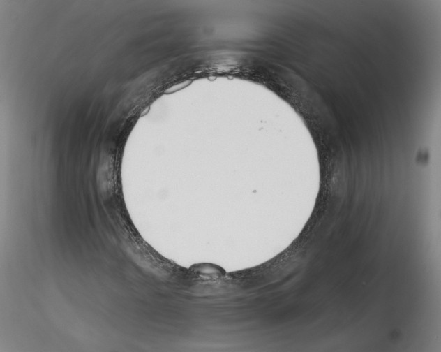 X0000114411442200911271515