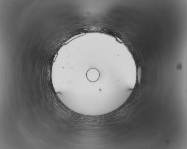 X0000114411443200911271515