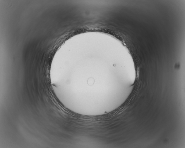 X0000114411444200911271515