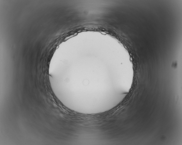 X0000114411445200911271515