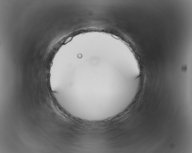 X0000114411448200911271515