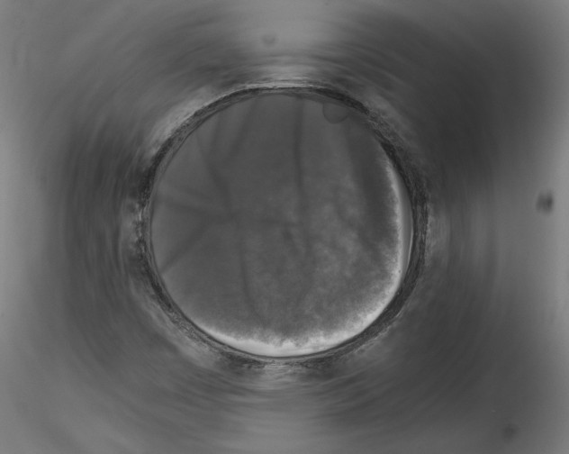 X0000114411449200911271515