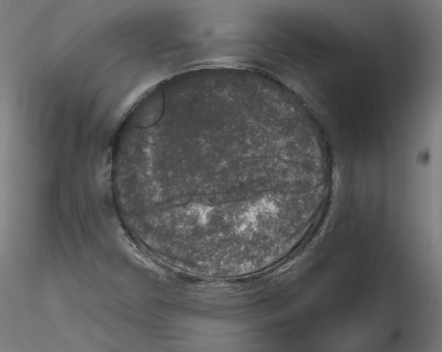 X0000114411450200911271515