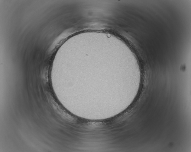 X0000114411451200911271515