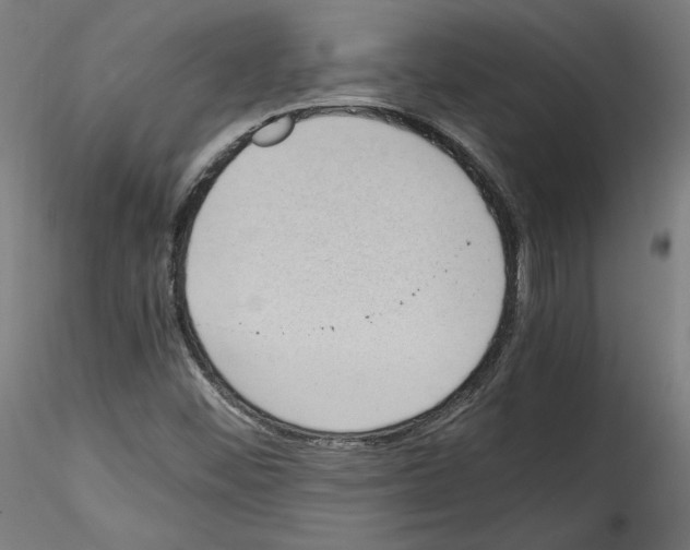 X0000114411452200911271515