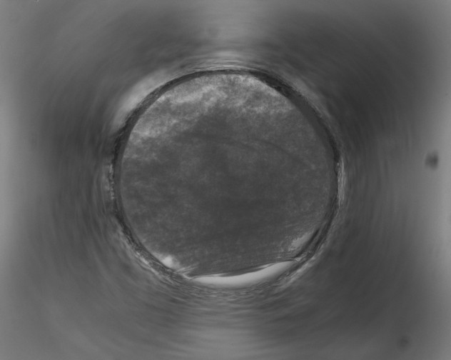 X0000114411453200911271515