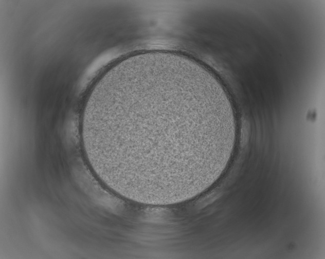 X0000114411454200911271515