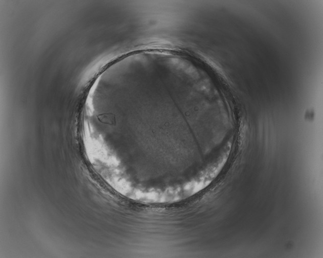 X0000114411455200911271515