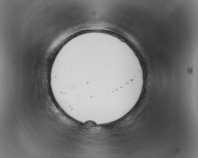 X0000114411456200911271515