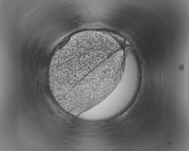 X0000114411457200911271515