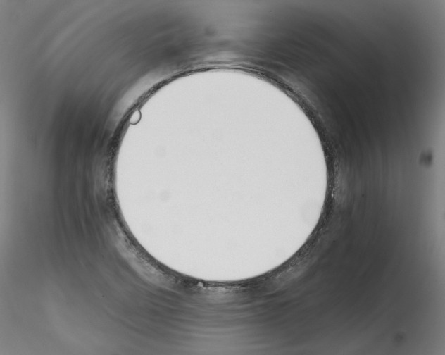 X0000114411458200911271515