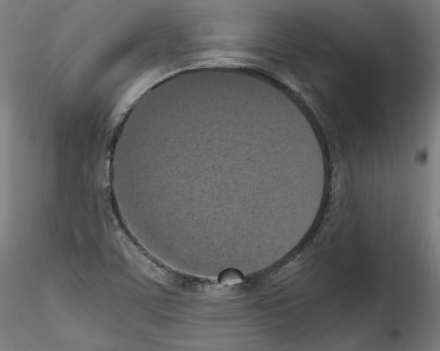 X0000114411459200911271515