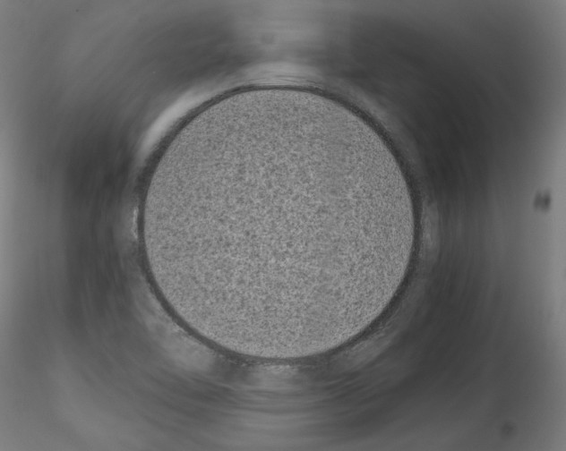 X0000114411462200911271515