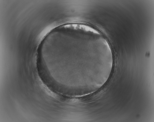 X0000114411463200911271515