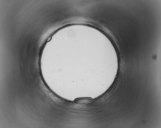 X0000114411464200911271515