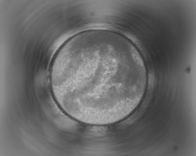 X0000114411466200911271515